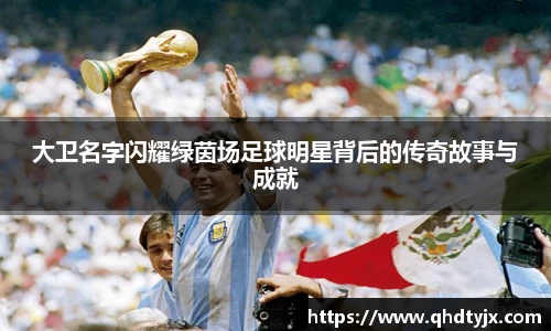 大卫名字闪耀绿茵场足球明星背后的传奇故事与成就