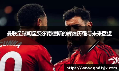 曼联足球明星费尔南德斯的辉煌历程与未来展望